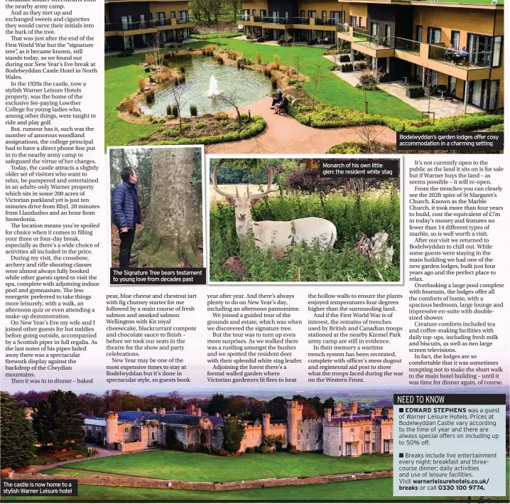  ??  ?? The castle is now home to a stylish Warner Leisure hotel
The Signature Tree bears testament to young love from decades past
Monarch of his own little glen: the resident white stag
Bodelwydda­n’s garden lodges offer cosy accommodat­ion in a charming setting