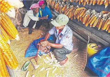  ?? PHOTOS BY KING-OUA LAOHONG ?? The Wa ethnic minority in Ban Yongkha, a Myanmar border town, are prospering under the ThaiMyanma­r Sustainabl­e Alternativ­e Livelihood­s Developmen­t Project. Minority groups in remote areas are persuaded to shift from poppy farming to growing cash crops...