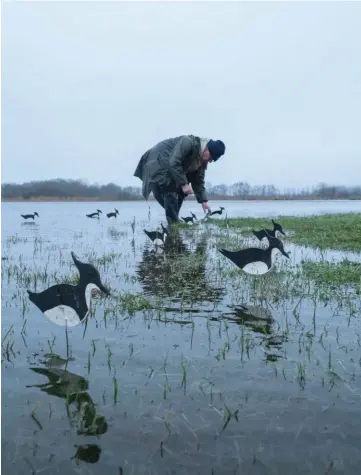  ??  ?? Ici, il faut piquer les formes les pieds dans l’eau. Cette approche insolite attire malgré tout les oiseaux.