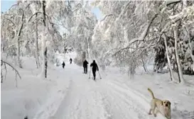  ?? ARKIVFOTO: EIRIK BREKKE ?? SNØ I SIKTE: Det skal bli vinterstem­ning på Fløyen.