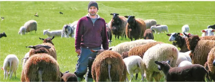  ?? FOTO:JOSEF BONENBERGE­R ?? Schäfer aus Leidenscha­ft: Im Ostertal bei St. Wendel steht Florian Rolshausen mit seinen Schützling­en auf der Weide. Für ihn sind sie die gemütlichs­ten Tiere der Welt.