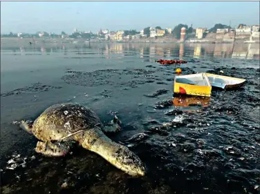  ??  ?? Varanasi alone releases more than 66 million litres of sewage waste into the Ganga every day