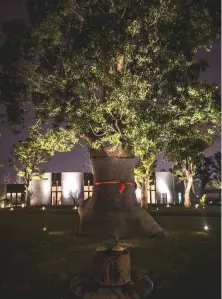  ??  ?? Above: An ancient camphor tree in Amanyangyu­n’s central courtyard. Left: Teatime in the resort’s bar. Opposite: The dining room of an Antique Villa.