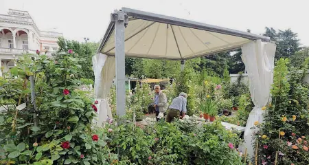  ??  ?? Programma Fiori e solidariet­à Ma anche moda, wellness, un «dejeuner sur l’erbe» in stile rossiniano e allegre parate di cagnolini. Questo e molto altro per la tre giorni di Giardini e terrazzi, l’esposizion­e verde che torna nel fine settimana