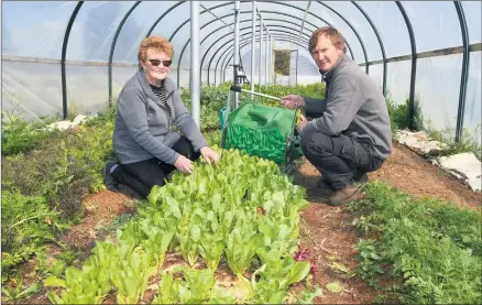  ??  ?? HOT TOPIC: Horsham Spring Garden Festival’s Sonia Matthews chats with Matthew Rohrsheim in his vegetable hot house ahead of the weekend event. Picture: PAUL CARRACHER