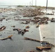  ??  ?? A coastal zone unable to perform its ecosystem functions can reduce the ability of the island of Jamaica to support human life.