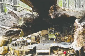  ?? ?? Frequent hikes with her son through a New Jersey forest encouraged Therese Ojibway to begin placing fairy homes for him to discover. Today, more than 80 dwellings can be found in the area.