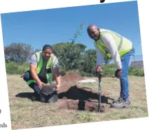  ?? ?? Leehein Witbooi en Babalo Hlwayi plant bome in die Mosselbaai Begrafplaa­s.