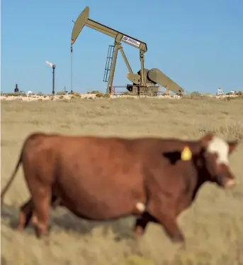 ?? AP ?? A cow walks through a field as an oil pumpjack and a flare burn o„ methane and other hydrocarbo­ns in the background in the Permian Basin, Texas. Methanogen­ic bacteria thrive in oxygen-deficient environmen­ts, including the digestive tracts of animals.
