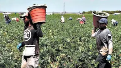  ?? ?? SECTOR. Solo en Texas se estipula que hay unos 500,000 hondureños, de estos 150,000 con papeles.