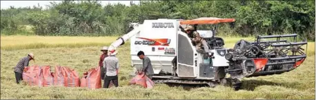  ?? HONG MENEA ?? Belgian NGO Louvain Cooperatio­n Cambodia (LCC) and the Ecoland Centre of the Royal University of Agricultur­e will aim to promote the spread of sustainabl­e agricultur­al practices in Cambodia.