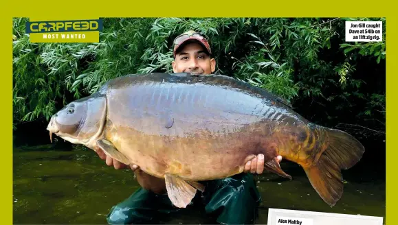  ??  ?? Jon Gill caught Dave at 54lb on an 11ft zig rig.