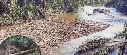  ?? (Foto Rosman Shamsudin/bh) ?? Saluran paip (gambar kecil) dipercayai dari ladang ternakan babi digunakan untuk membuang sisa kumbahan menjadi punca pencemaran Sungai Kenjor di Kampung Kuala Gepai, Bidor.