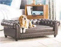  ?? WAYFAIR ?? The Archie & Oscar faux leather Cornelia Dog Sofa ($399.99/Wayfair.ca), is made to hold up to 80-pound dogs.