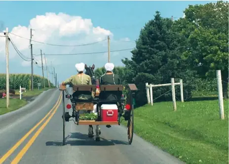  ?? ALEX PANETTA/THE CANADIAN PRESS ?? Horse-and-buggy transport is slow, so a former member of the Amish community in Pennsylvan­ia will be organizing car rides to distant polling stations.