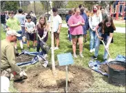  ?? Photos by Amy Cherry ?? Fifth grade SSMSE students lend a hand during an Arbor Day tree-planting ceremony as they place soil and mulch around Luhr Park’s newest tree.