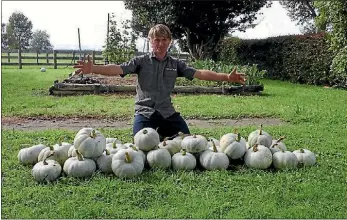  ?? REXINE HAWES/FAIRFAX NZ ?? Adrian Holmes grew 52 pumpkins off one plant, which could be a record.