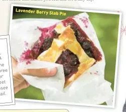  ??  ?? Lavender Berry
Slab Pie