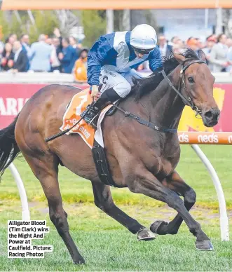  ?? ?? Alligator Blood (Tim Clark) wins the Might And Power at Caulfield. Picture: Racing Photos