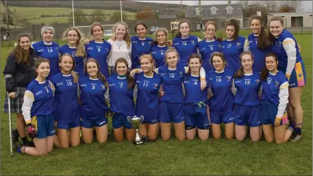  ??  ?? The Coláiste Bhríde Carnew Senior football side who defeated Blessingto­n CC to claim the county crown.