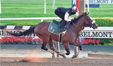  ?? SUSIE RAISHER/COGLIANESE PHOTOS VIA AP ?? Tiz The Law trains Sunday at Belmont Park in Elmont, N.Y. Tiz the Law looks every bit like the best 3-year-old in the world and is the Triple Crown favorite – and 6-5 early favorite for the Belmont Stakes.