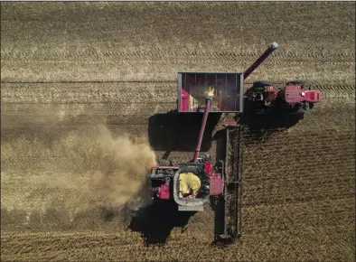  ?? (AP) ?? A combine harvests soybeans in October on a farm near Allerton, Ill.