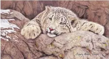  ??  ?? “Observatio­n,” colored pencil, by Nancy Wood Taber.