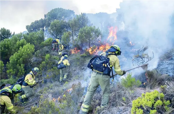  ?? EFE ?? Los bomberos forestales trabajaban ayer contra el fuego cerca de Jubique (Málaga)