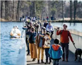  ?? FOTO BOUMEDIENE BELBACHIR ?? Fietsen door het water ontving vorig jaar 1.300 fietsers in de krokusvaka­ntie. Dit jaar waren er dat 8.354.