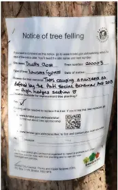  ?? ?? Work got underway yesterday to remove a 70ft-tall tree in Horfield which was deemed to have become a nuisance. Left, the council order giving notice of the work