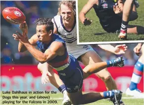  ??  ?? Luke Dahlhaus in action for the Dogs this year, and (above) playing for the Falcons in 2009.