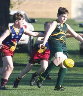  ??  ?? Hallora Under 12 player Jaimasyn Seymour’s snap shot produced a goal for his side in the Under 12 match against Colts.