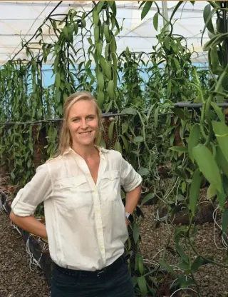  ??  ?? 1. Virginie, ingénieur agronome, vient de Belgique et étudie les différente­s variétés de vanilles placées dans l’ombrière variéale. Dans son labo, elle scrute également le développem­ent des variétés plantées hors sol selon leur alimentati­on.