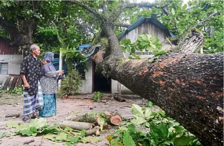  ?? — Bernama ?? Lucky escape: Hashim and Salbiah looking at the damage to their home caused by the falling tree in Kampung Nelayan, Gertak Sanggul.