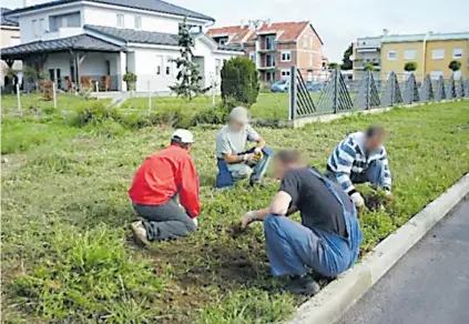  ??  ?? Korisnici naknada u Bjelovaru angažirani na uređenju zelenih površina