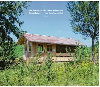  ?? Foto: Denis Dworatsche­k ?? Das Bienenhaus mit sieben Völkern bei Kimratshof­en.