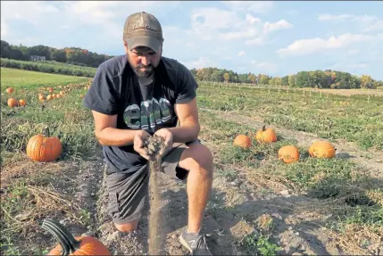  ?? JULIA MALAKIE / SENTINEL & ENTERPRISE ?? Jim Lattanzi, owner of Hollis Hills Farm in Fitchburg, shows how dry the soil is in a pumpkin field. All their fields have drip irrigation, but except around the plants, he says you couldn't dig down far enough to find moisture.