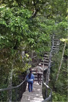  ??  ?? Deux passerelle­s ont été aménagées pour permettre une vraie immersion dans la réserve.