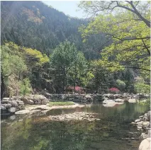  ?? PHOTOS: LOUISE WATT/THE ASSOCIATED PRESS ?? Pools of water are set against a stunning backdrop of pine trees glimpsed after a hike down Mount Tai through Peace Blossom Valley, above. Tourists, below, watch the sunrise at the top of Mount Tai.