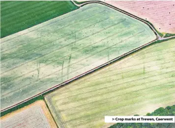  ??  ?? > Crop marks at Trewen, Caerwent