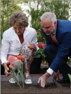  ?? The Associated Press ?? Princess Margriet plants tulips with National Capital Commission CEO Tobi Nussbaum at Stornoway in Ottawa, Thursday.