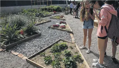  ?? FERNANDO GIMENO ?? ▶▶ El IES Matilde Salvador estrenó ayer su nuevo huerto interdisci­plinar para los alumnos de Jardinería y de ESO.