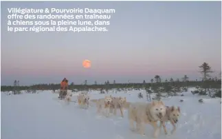  ??  ?? Villégiatu­re & Pourvoirie Daaquam offre des randonnées en traîneau à chiens sous la pleine lune, dans le parc régional des Appalaches.