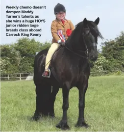  ??  ?? Weekly chemo doesn’t dampen Maddy Turner’s talents as she wins a huge HOYS junior ridden large breeds class aboard Carrock King Kenny