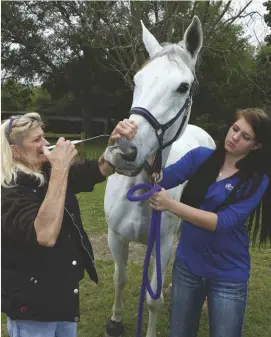  ?? ?? An intranasal vaccine is available for strangles, although vets do not recommend it for every horse.