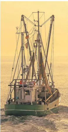  ?? FOTO:ACONNYAPOK­OrNY/DPA ?? Fischkutte­r wie hier vor Helgoland sind nicht unbedingt der Ort, an dem man elektronis­che Datenverar­beitung vermuten würde.