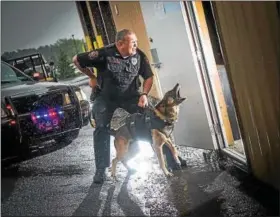  ?? PHOTO COURTESY OF THE EXETER POLICE DEPARTMENT ?? K-9 officer Mako recently retired from the Exeter Police Department due to a health condition. The Berks County District Attorney’s Office has given the department a grant to offset the costs of K-9 officer replacemen­ts.