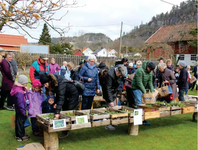  ?? FOTO: HANS ALF SLENGESOL ?? Arrangøren­e ser fram til lørdagens plantemark­ed i hagen til Grete og Anders Mathias Larsen. Inntektene går til driften av Huset. Bildet er fra fjorårets arrangemen­t.