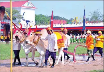  ?? FACEBOOK ?? Royal oxen ceremonial­ly till the land at the Royal Ploughing Ceremony in Svay Rieng province on Thursday.