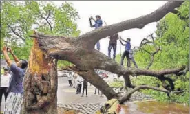  ?? SONU MEHTA/HT PHOTO ?? People clicking selfies on the broken Neem tree at Jantar Mantar. Some Tamil Nadu farmers also tried to climb it recently but were stopped by the police.